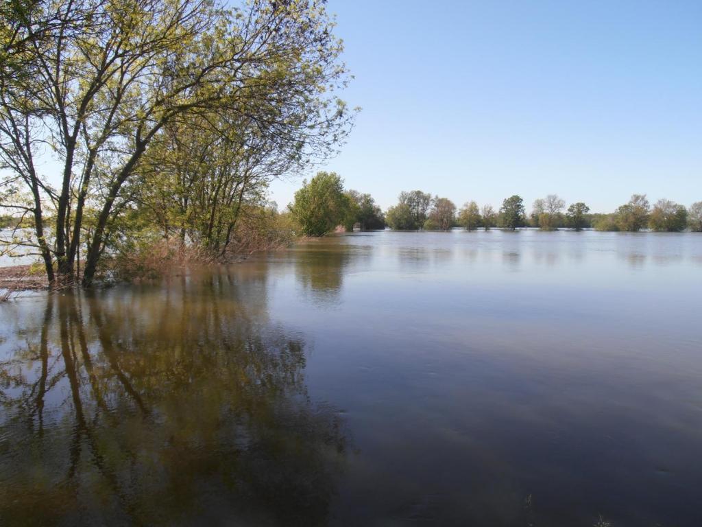 Chateau Sainte Marie Hotel Dompierre-sur-Charente Esterno foto